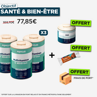 Multivitamines et minéraux – Gélules