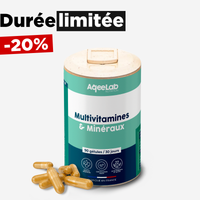 Multivitamines et minéraux – Gélules