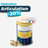 Peptides de collagène type 2 – Colartix® en gélules