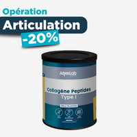 Peptides de Collagène Peptan type 1 - Poudre