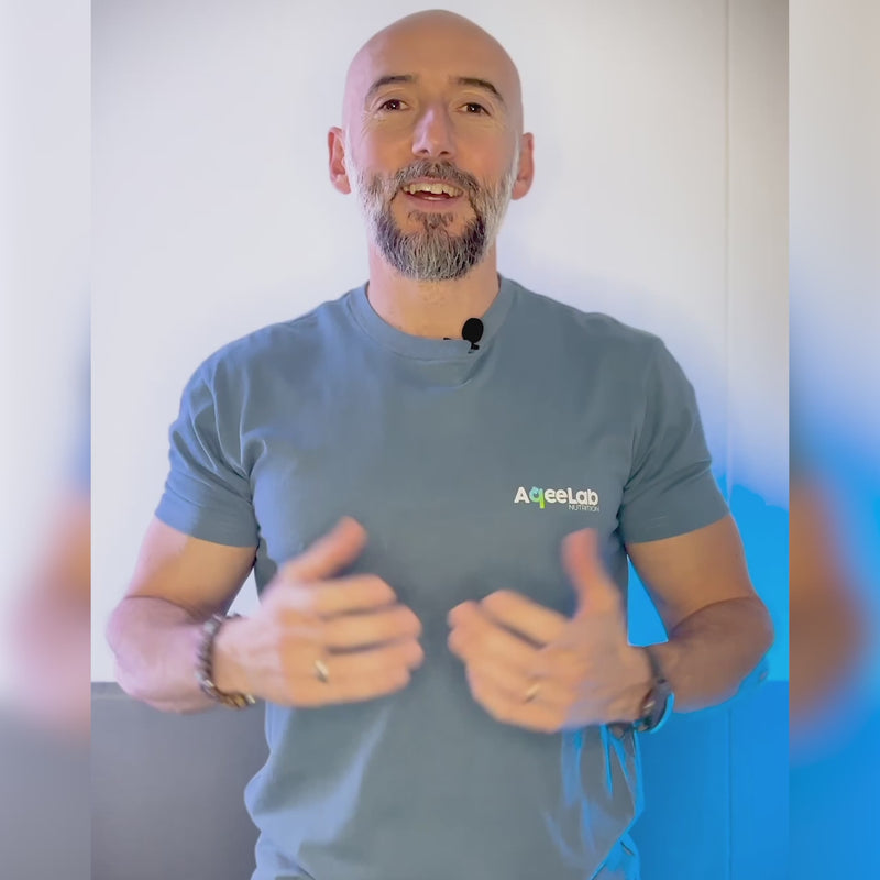 Explications sur le ZMB
