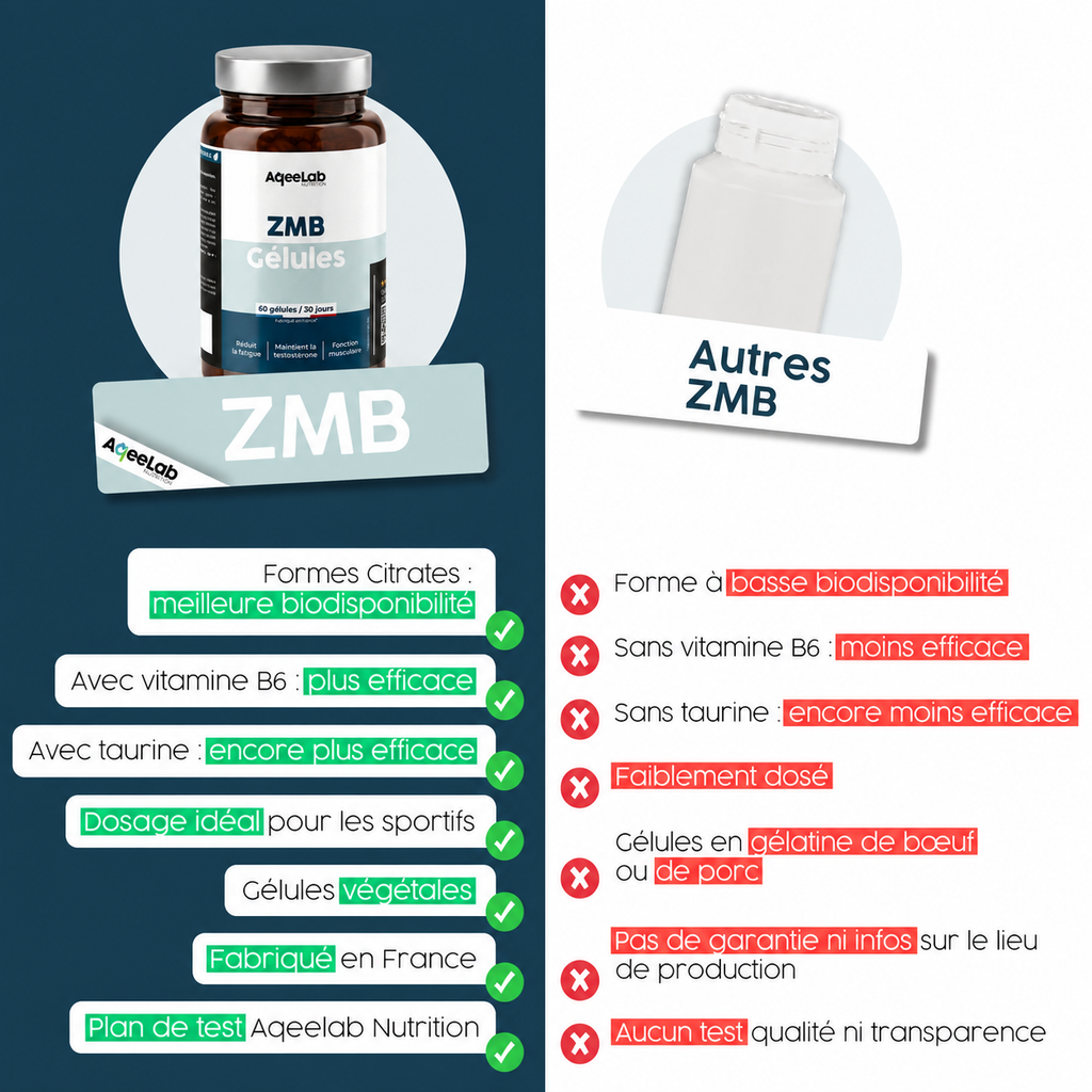 ZMB Gélules : Zinc + Magnésium + Taurine + Vitamine B6